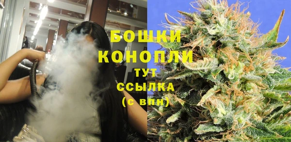 шишки Алексеевка