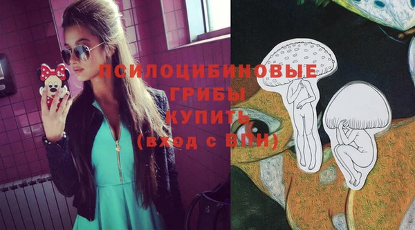 индика Алексин