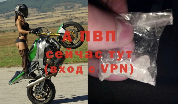 индика Алексин