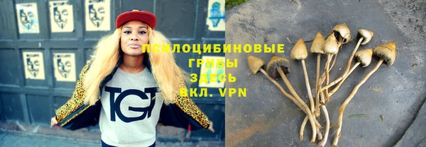 винт Алзамай