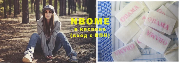 шишки Алексеевка